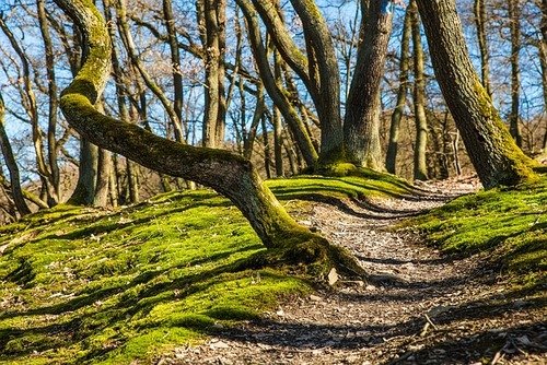 Hidden Nature Trails in Cyprus: Discover Scenic Outdoor Adventures